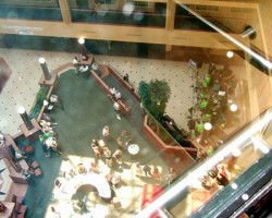 2012 IPA Convention and Festival