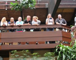 2017 I.P.A. Festival and Convention:  Sunday Pro Am Jam