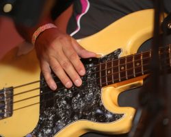 2017 I.P.A. Festival and Convention:  Sunday Ballroom