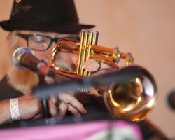 2017 I.P.A. Festival and Convention:  Sunday Ballroom