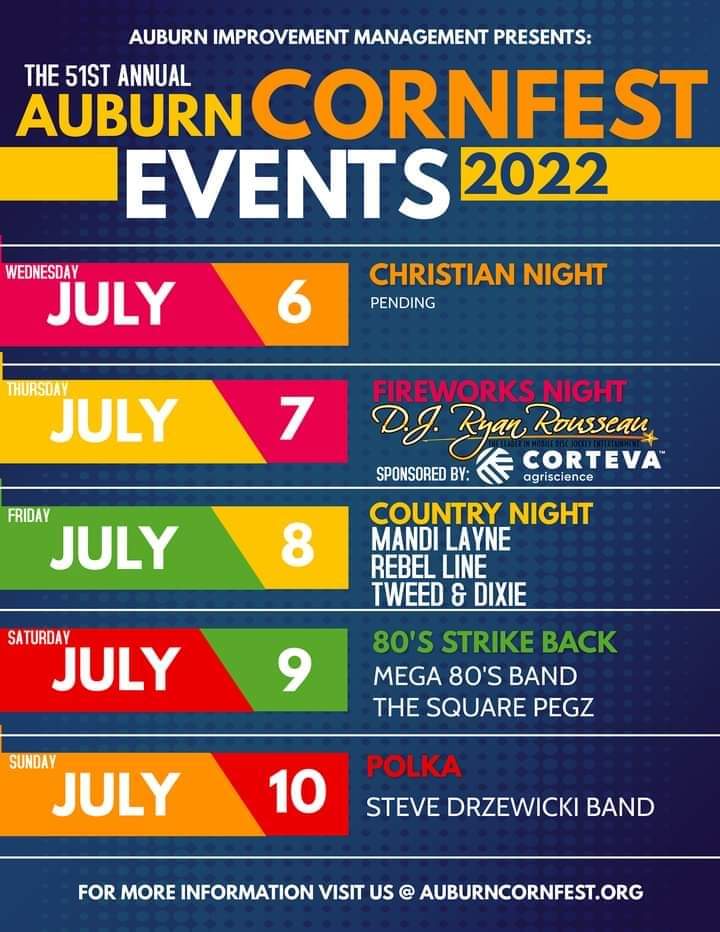 Polka Sunday in the park